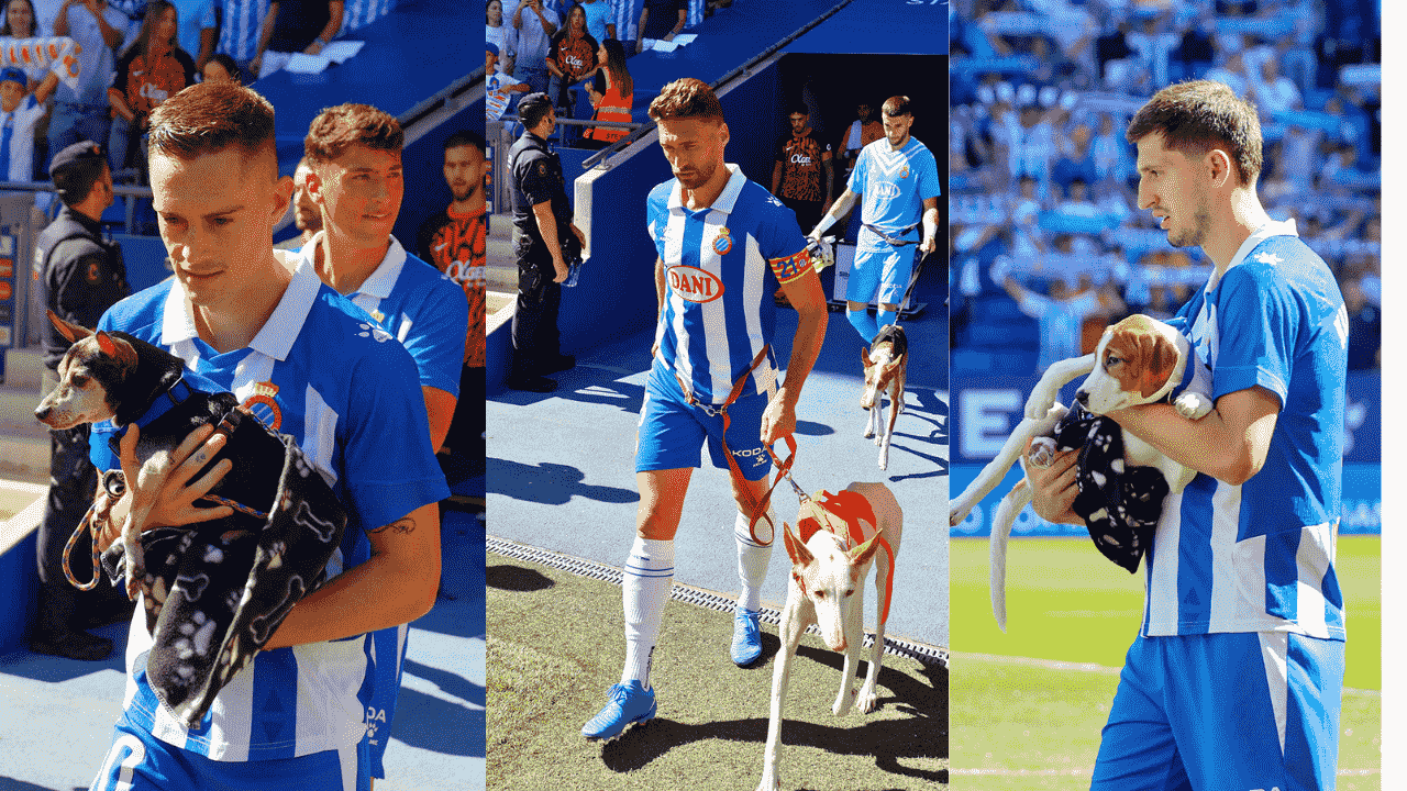 El equipo de fútbol español RCD Espanyol Barcelona promueve la adopción de perros. Los jugadores salen al campo con sus mascotas – NowyMarketing