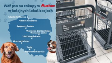 Auchan z okazji Światowego Dnia Zwierząt wprowadza wózki dla psów w kolejnych sklepach sieci