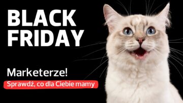 Black Friday 2024: narzędzia AI, content, e-mail i SEO w promocyjnych cenach, czyli oferty dla marketerów i e-commerce [PRZEGLĄD]