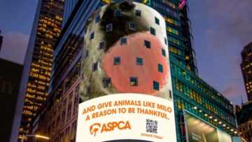 Psie całusy na Times Square. ASPCA okazuje wdzięczność za uratowanie życia zwierząt