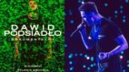 „Dawid Podsiadło – Dokumentalny” w kinach. Piosenkarz podzieli się kulisami stadionowej trasy koncertowej