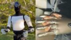Kim Kardashian prezentuje „Optimusa”, humanoidalnego robota od Elona Muska