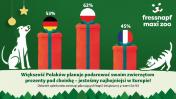 Polacy coraz chętniej kupują gwiazdkowe prezenty zwierzętom domowym [BADANIE MAXI ZOO]