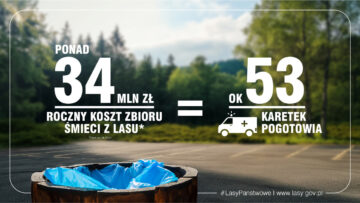 Z okazji Światowego Dnia Ziemi Lasy Państwowe pokazują, jakie śmieci znajdziemy w lesie