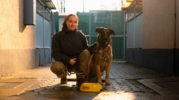 „JOSI napełnia każdą miskę”: producent karm i przysmaków dla zwierząt przekaże 150 tys. zł dla organizacji wspierających czworonogi