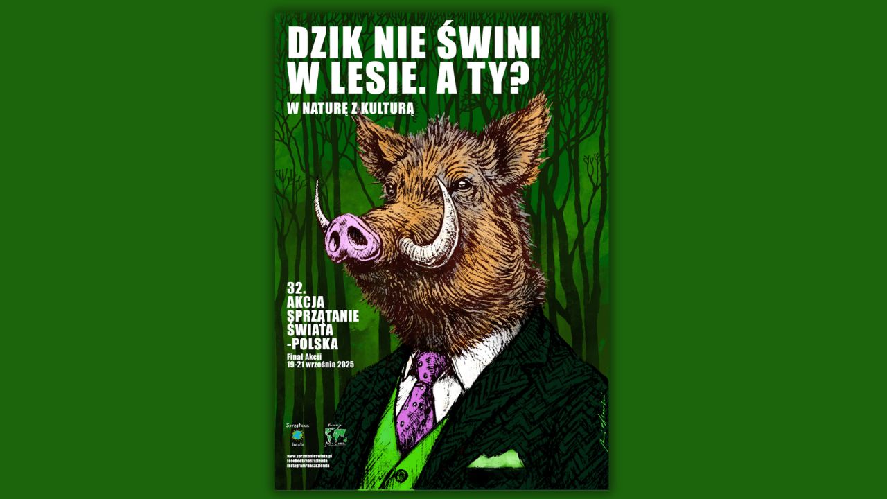 Dzik elegant na plakacie 32. Akcji Sprzątanie świata - NowyMarketing ...