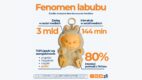 Fenomen Labubu