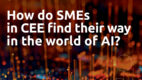 AI Chamber „Jak MŚP z Europy Środkowo-Wschodniej odnajdują się w świecie AI?” [RAPORT]