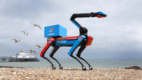 Domidog: robo-pies dostarcza pizzę i chroni ją przed mewami