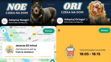 Milion szans więcej na adopcję czworonogów – Glovo i Schronisko Na Paluchu łączą siły