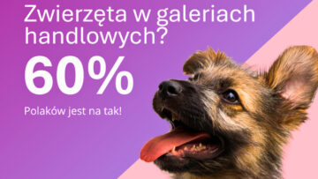 #NMInsights: Cztery łapy w centrum uwagi. Pies jako nowy klient VIP galerii handlowych [BADANIE]