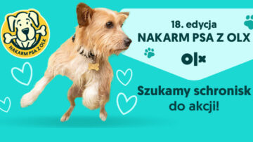 Dzień Kundelka z misją: startuje kolejna edycja akcji „Nakarm Psa z OLX”