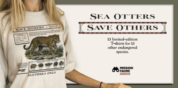 „Save Others”: Taylor Swift zainspirowała kanadyjskie zoo do stworzenia wyjątkowej kolekcji ubrań