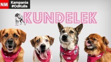 OdKulis Pudelek Kundelek