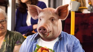 świnia ZTM Warszawa kampania