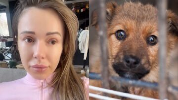 Doda oddaje Instagram by pomóc schroniskom