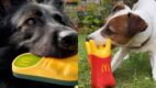 McDonald's France kolekcja zabawek dla psów