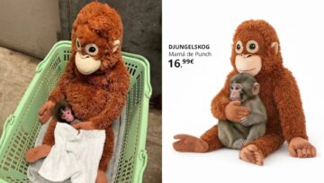 Małpka Punch i pluszak z IKEA. Lekcja marketingu w czasach virali
