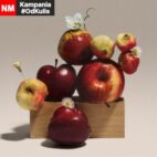 bracia sadownicy miss śmiłowic od kulis