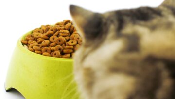 rynek karm w Polsce badanie YouGov