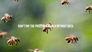 Pomidory po 180 euro za kilogram. Tyle może kosztować świat bez pszczół