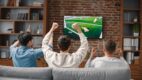 TVP wyceniła reklamy przy finale mundialu. 30 sekund za 412 tys. zł