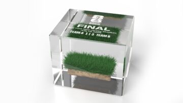 Mundial zbliża się do finału. FIFA już sprzedaje kawałki murawy za 450 dolarów